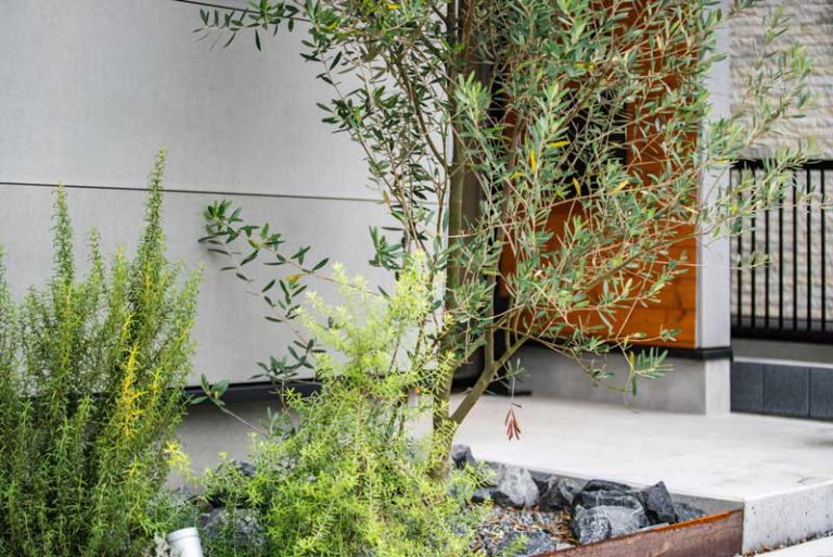GARDENS GARDEN 住宅イメージ