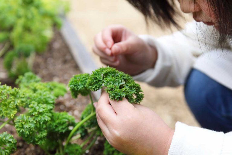 GARDENS GARDEN ガーデンイメージ