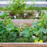 GARDENS GARDEN－キッチンガーデン－