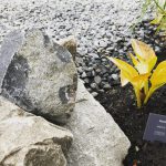 地産地消? 地産地生?