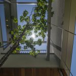 庭というもう一つの部屋 PV